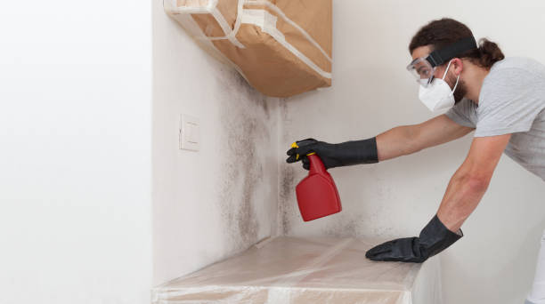 Professional Bathroom Mold Removal technician working in Beccaria, PA