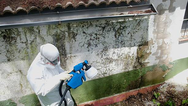 Trusted Mold Remediation service in Beccaria, PA - Cheap Mold Removal